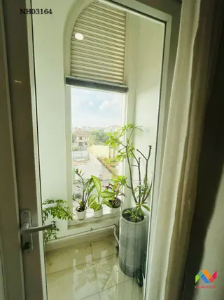 estate-img