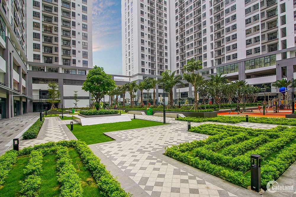 Q7 Boulevard